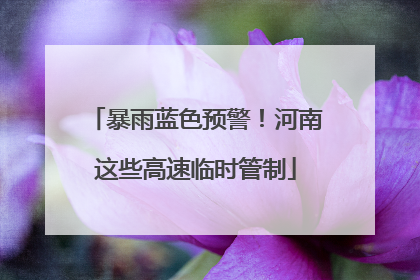 暴雨蓝色预警！河南这些高速临时管制