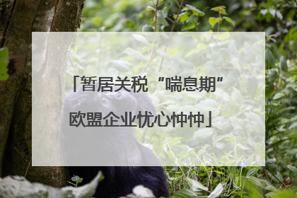 暂居关税“喘息期” 欧盟企业忧心忡忡