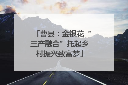 曹县：金银花“三产融合”托起乡村振兴致富梦