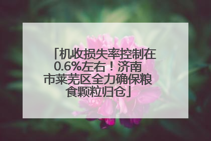 机收损失率控制在0.6%左右！济南市莱芜区全力确保粮食颗粒归仓