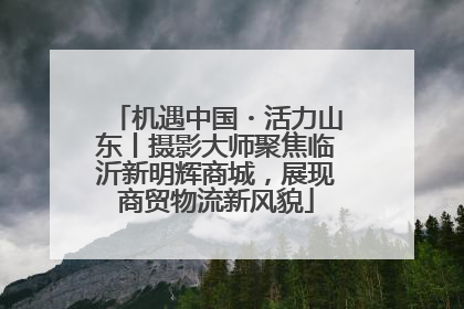 机遇中国・活力山东丨摄影大师聚焦临沂新明辉商城，展现商贸物流新风貌