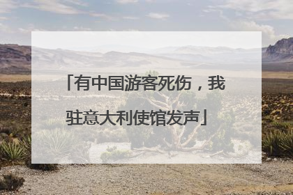 有中国游客死伤，我驻意大利使馆发声