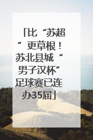 比“苏超”更草根！苏北县城“男子汉杯”足球赛已连办35届