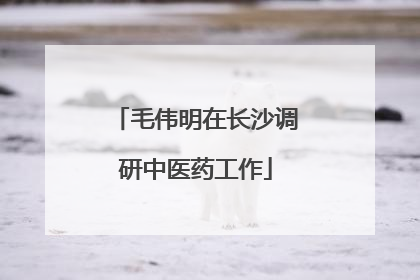 毛伟明在长沙调研中医药工作