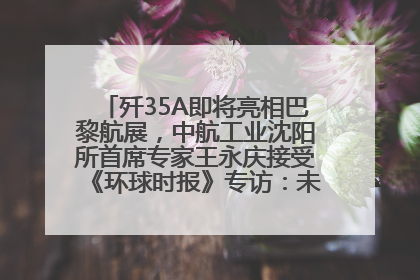 歼35A即将亮相巴黎航展，中航工业沈阳所首席专家王永庆接受《环球时报》专访：未来数量可以有很多