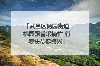 武昌区杨园街道：桃园飘香采摘忙 消费扶贫促振兴