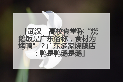 武汉一高校食堂称“烧鹅饭是广东俗称，食材为烤鸭”？广东多家烧鹅店：鸭是鸭鹅是鹅