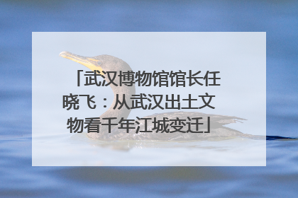 武汉博物馆馆长任晓飞：从武汉出土文物看千年江城变迁