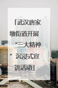 武汉唐家墩街道开展“三大精神”沉浸式宣讲活动