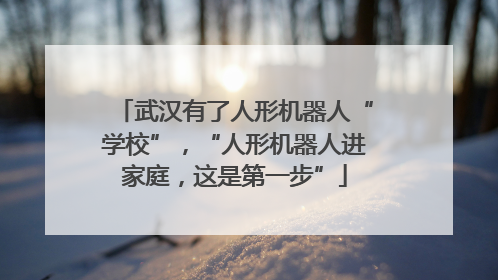 武汉有了人形机器人“学校”，“人形机器人进家庭，这是第一步”