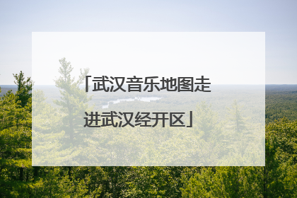 武汉音乐地图走进武汉经开区