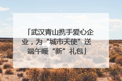 武汉青山携手爱心企业，为“城市天使”送端午暖“新”礼包
