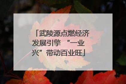 武陵源点燃经济发展引擎 “一业兴”带动百业旺