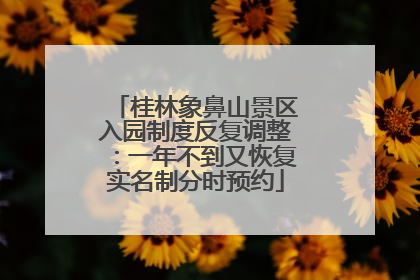 桂林象鼻山景区入园制度反复调整：一年不到又恢复实名制分时预约