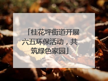 桂花坪街道开展六五环保活动，共筑绿色家园