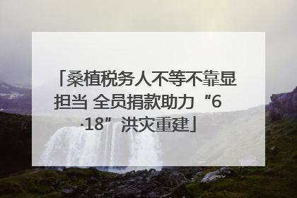 桑植税务人不等不靠显担当 全员捐款助力“6·18”洪灾重建
