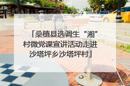 桑植县选调生“湘”村微党课宣讲活动走进沙塔坪乡沙塔坪村