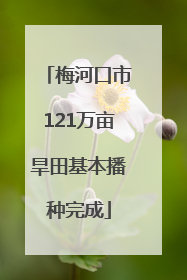 梅河口市121万亩旱田基本播种完成