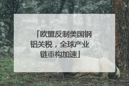欧盟反制美国钢铝关税，全球产业链重构加速