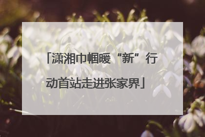 潇湘巾帼暖“新”行动首站走进张家界