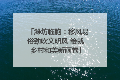 潍坊临朐：移风易俗劲吹文明风 绘就乡村和美新画卷