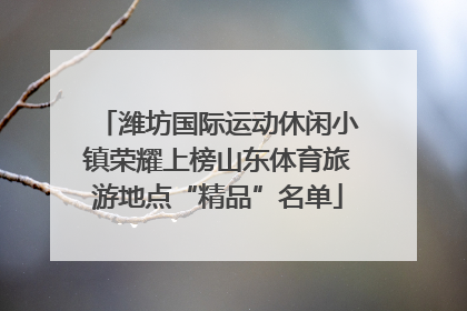 潍坊国际运动休闲小镇荣耀上榜山东体育旅游地点“精品”名单