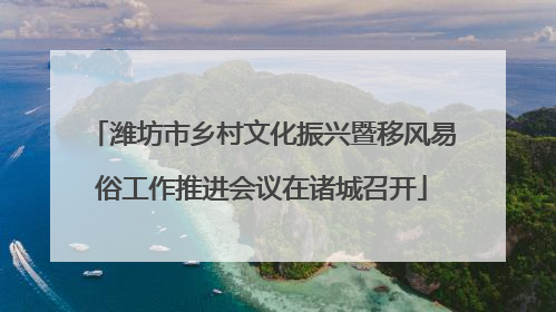 潍坊市乡村文化振兴暨移风易俗工作推进会议在诸城召开