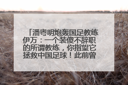 潘粤明炮轰国足教练伊万：一个装傻不辞职的所谓教练，你指望它拯救中国足球！此前曾多次发文评价国足