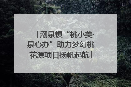 潮泉镇“桃小美·泉心办”助力梦幻桃花源项目扬帆起航