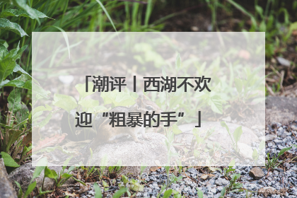 潮评丨西湖不欢迎“粗暴的手”