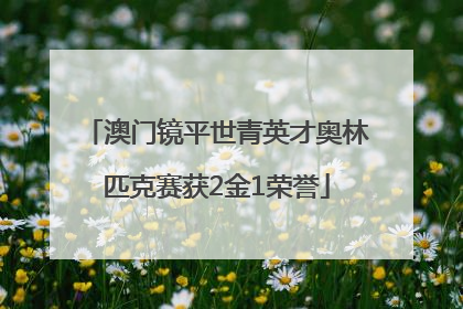 澳门镜平世青英才奥林匹克赛获2金1荣誉