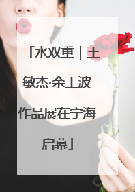 水双重｜王敏杰·余王波作品展在宁海启幕