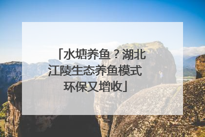 水塘养鱼？湖北江陵生态养鱼模式环保又增收
