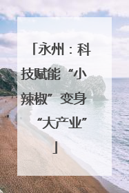 永州：科技赋能“小辣椒”变身“大产业”