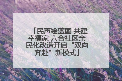 民声绘蓝图 共建幸福家 六合社区亲民化改造开启“双向奔赴”新模式