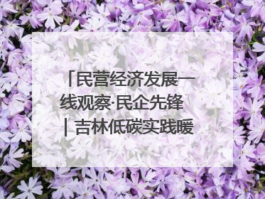 民营经济发展一线观察·民企先锋｜吉林低碳实践暖民心：太阳能供暖技术为北方清洁取暖破局