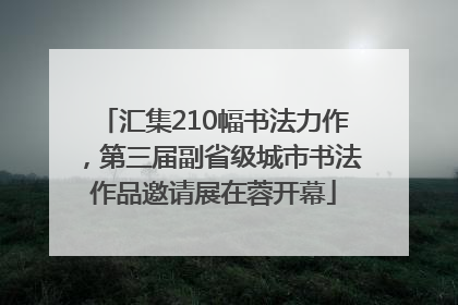 汇集210幅书法力作，第三届副省级城市书法作品邀请展在蓉开幕