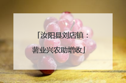 汝阳县刘店镇：薯业兴农助增收
