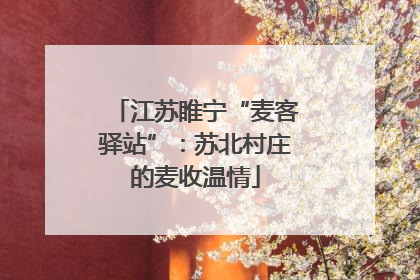 江苏睢宁“麦客驿站”：苏北村庄的麦收温情