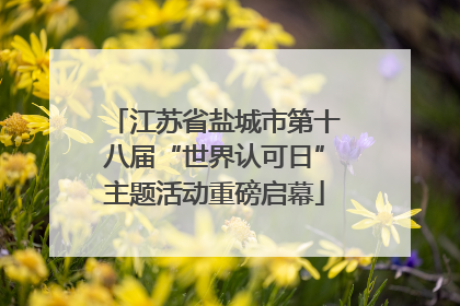 江苏省盐城市第十八届“世界认可日”主题活动重磅启幕
