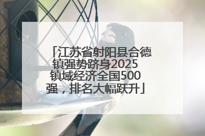 江苏省射阳县合德镇强势跻身2025镇域经济全国500强，排名大幅跃升