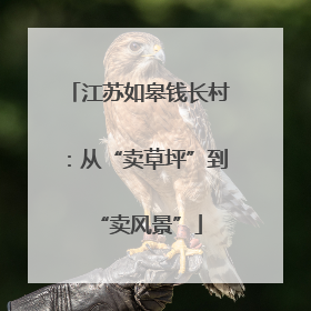 江苏如皋钱长村：从“卖草坪”到“卖风景”