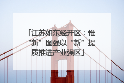 江苏如东经开区：惟“新”图强以“新”提质推进产业强区