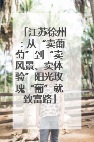 江苏徐州：从“卖葡萄”到“卖风景、卖体验”阳光玫瑰“葡”就致富路