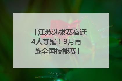 江苏选拔赛宿迁4人夺冠！9月再战全国技能赛