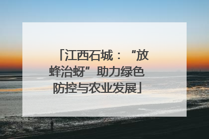 江西石城：“放蜂治蚜”助力绿色防控与农业发展