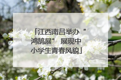 江西南昌举办“鸿鹄展” 展现中小学生青春风貌