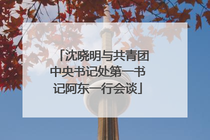 沈晓明与共青团中央书记处第一书记阿东一行会谈