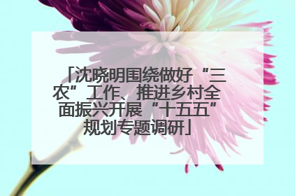 沈晓明围绕做好“三农”工作、推进乡村全面振兴开展“十五五”规划专题调研