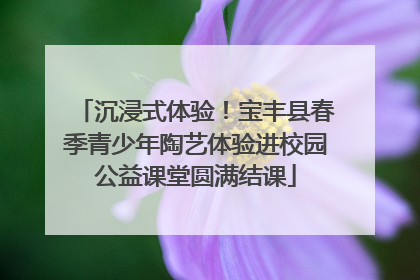 沉浸式体验！宝丰县春季青少年陶艺体验进校园公益课堂圆满结课